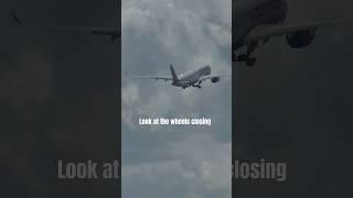 Seat 11a passenger was very lucky