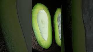 fresh avocado #avocado #healthyfood