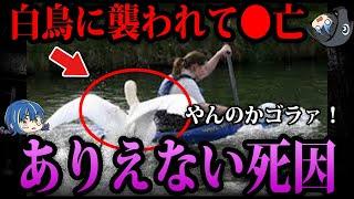 【ゆっくり解説】これ全部実話です…意味不明な死亡事故５選