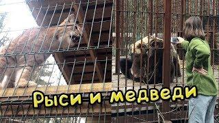 РЕАКЦИЯ РЫСЕЙ НА ВСТРЕЧУ ДВУХ МЕДВЕДЕЙ