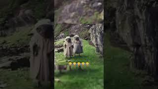  Funny animal videos   I sincerely hope you enjoy it;  please follow #shorts