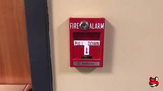 Radionics Fire Alarm Test