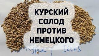 Курский солод против Немецкого | Обучение пивоварению