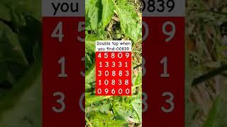 Double tap when you find-00839 #shorts #puzzlegame #brainteaser