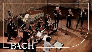 Bach - 'Brandenburg' Concerto no. 3 in G major BWV 1048 - Sato | Netherlands Bach Society
