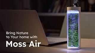 Bring Nature to Your Home - Moss Air