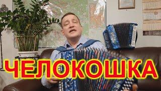 ЧЕЛОКОШКА