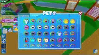 All new codes in pet trainer simulator