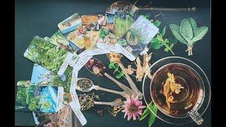 Карты Таро травника / The Herbcrafter Tarot