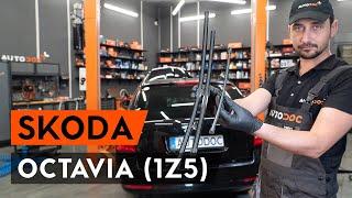 Как заменить щётки стеклоочистителя на OCTAVIA (1Z5) [ВИДЕОУРОК AUTODOC]