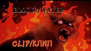 Коты-Воители|• Blood//Water Клип| Warriors Cats|• Blood//Water Clip|