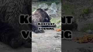 xstojak #xstojak #tiktok