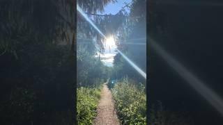 where the paths lead ? #sunset #sun #road Part 2
