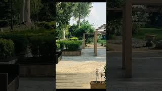 Clip3 #Shorts #Vertical 8