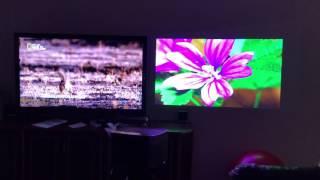 Xgimi H1 projector vs phillips 55inch led tv