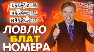 ЛОВЛЮ БЛАТ НОМЕРА В ДПС НА AMAZING RP!!!