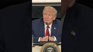 Trump Says He Never Saw Musk 'Get Physical' With Bessent