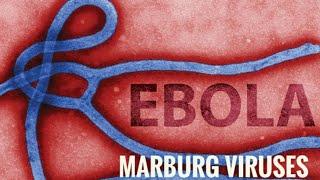 Ebola and  Marburg viruses - causes,clinical manifestations, diagnosis, treatment and prevention.