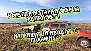 КОГДА ЖЕ ОН КОНЧИТСЯ??? Копаю на одной и той же ферме уже ДВА ГОДА! А металл все не кончается! #коп