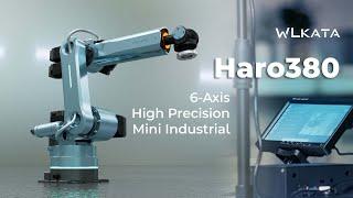 Robotic Arm Redefined: Meet the Haro380 - High Precision 6-Axis Mini Industrial