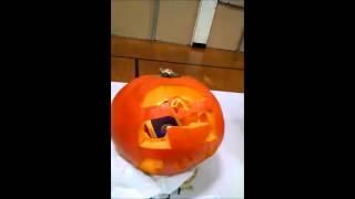 Garden School Pumpkin Carving Contest 10 30 15