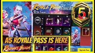 A5 royale pass 1 to 100 Rp leaks | pan upgrade  | Rp vehicle skin | 9Rp M762 skin