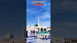Hafiz Ahmad Raza Qadri || Hajj Special Naat || #islamic #video #viral #videos #trending