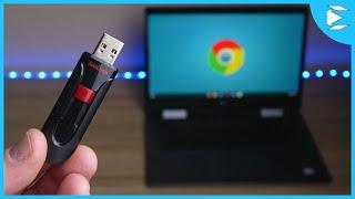 Accessing USB from Linux on Chromebook