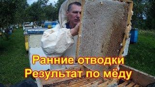 Ранние отводки, результат по мёду