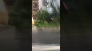 楪カレン（楪花莲）