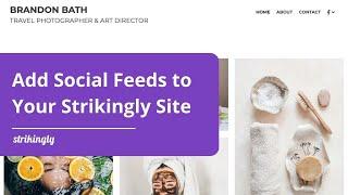 Adding a Social Feed to Your Strikingly Site