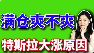 美股：特斯拉大涨，满仓爽不爽。【2024-09-19】