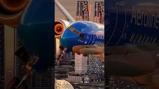 #BlueAirline️#airplane