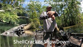 "Swamp Giants: Shellcracker Fishing in the South Carolina Wilderness! "