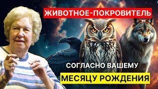 Что ваш месяц рождения говорит о вашем животном-покровителе  Долорес Кэннон