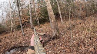 Deer Hunting With Dogs 2024 - BIG BUCK Down in Virginia!! (4 Kill Shots)