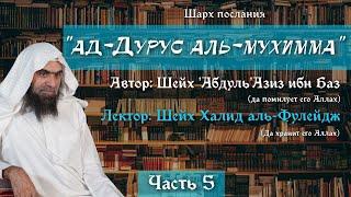 Важные уроки [5/22] — Столпы Имана — подробный разбор | Шейх аль-Фулейдж