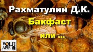 #Рахматулин Д. К. Бакфаст или ...???