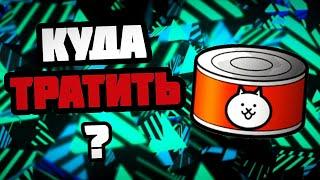 ГАЙД НА ТВОИ БАНКИ! Где открывать? Куда тратить? (The Battle Cats)