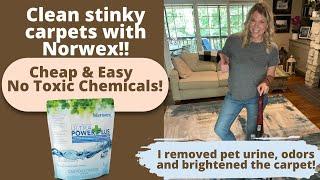 Clean your carpets with Norwex, Remove stains and pet odors and brighten w/safe, non-toxic solutions