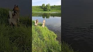 Иди искупаю