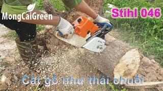 Máy cưa xích Stihl 046 - Stihl Chainsaw 046 - Siêu phẩm cắt gỗ như thái chuối - MongCaiGreen Shop