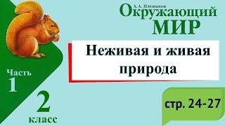 Неживая и живая природа. Окружающий мир. 2 класс, 1 часть. Учебник А. Плешаков стр. 24-27