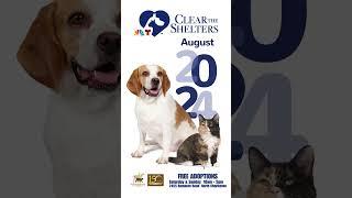 CLEAR THE SHELTER AT CHARLESTON ANIMAL SOCIETY