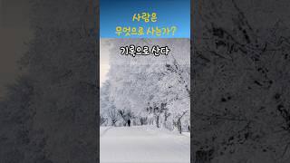 정약용명언 기록으로 산다  #명언 #좋은글 #지혜 #인생조언 #삶의지혜