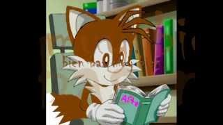 histori of hedgecat part 1.wmv