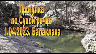 Сухая речка  1. 04. 2023