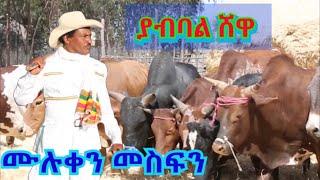 Ethiopian music muluken mesfin (yabibal shewa) ሙሉቀን መስፍን (ያብባል ሸዋ ) officall vedio 2021