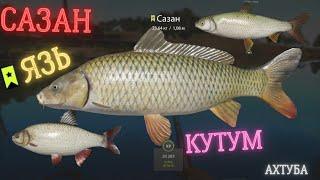 Русская рыбалка 4 (РР4) р. Ахтуба Сазан, Язь, Кутум Russian fishing 4  r. Akhtuba Carp, Ide, Kutum