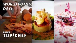 The Best Potato Dishes (Mashup) |  World Potato Day  | Top Chef